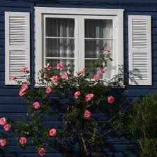 rose-window-defense