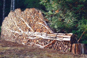 fun firewood