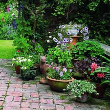 pot garden