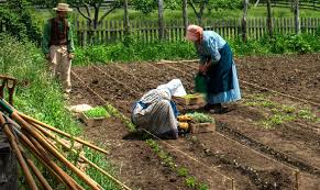 traditional garden